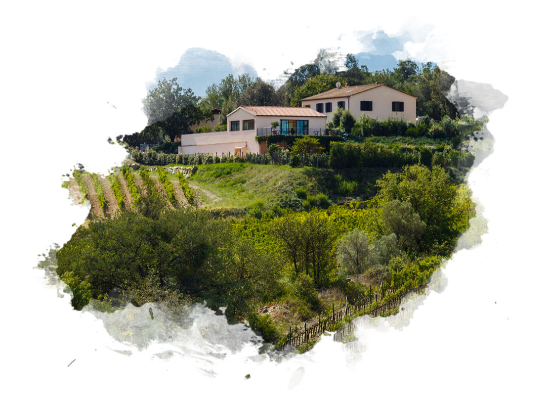 Podere Grattamacco Podere Grattamacco
