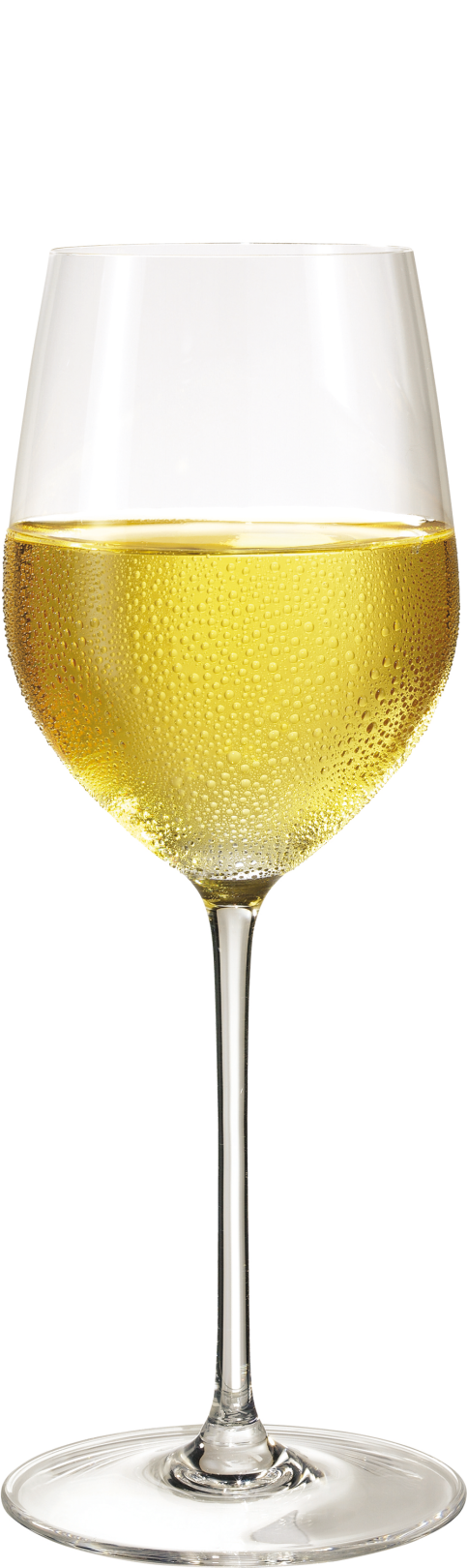Grüner Veltliner Schankwein Weinland Landwein Grüner Veltliner Schankwein Weinland Landwein