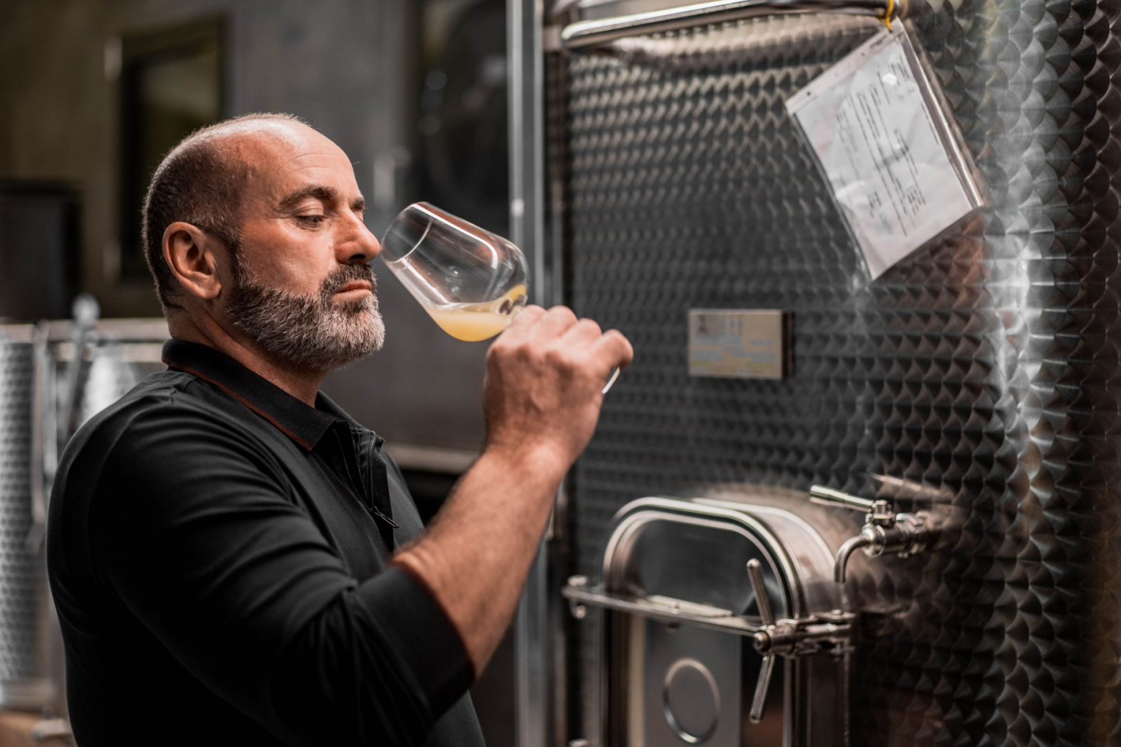 Weingut Tauber Weingut Tauber
